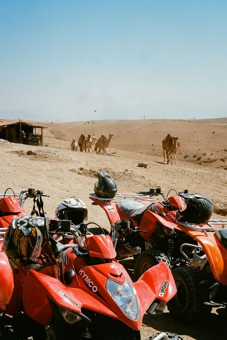 2 horas de quad y 1 hora de paseo en camello por el desierto de Agfay - Image 1