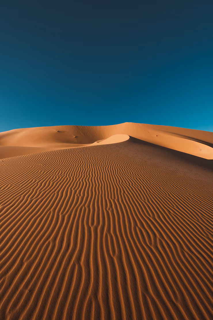 FES -DESIERTO MERZOUGA-OUARZAZATE-MARRAKECH - Image 8