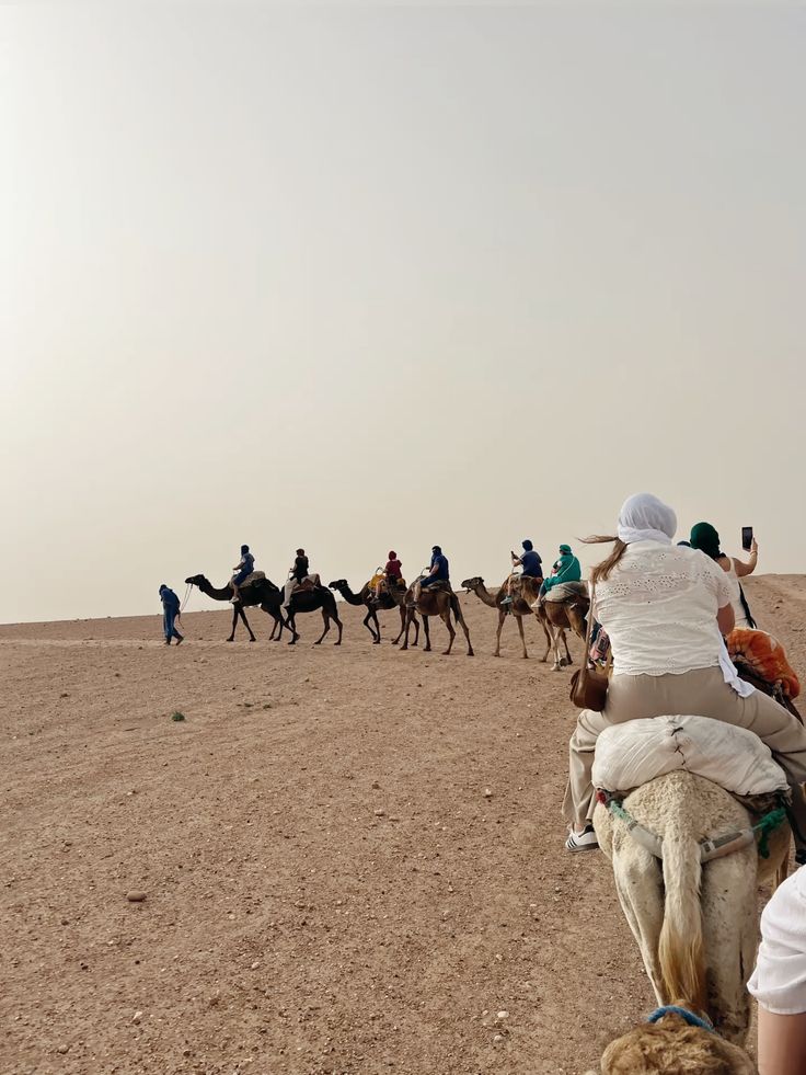 2 horas de quad y 1 hora de paseo en camello por el desierto de Agfay - Image 7